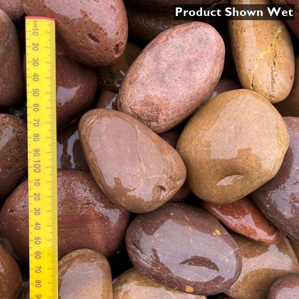 a group of wet rocks with a ruler