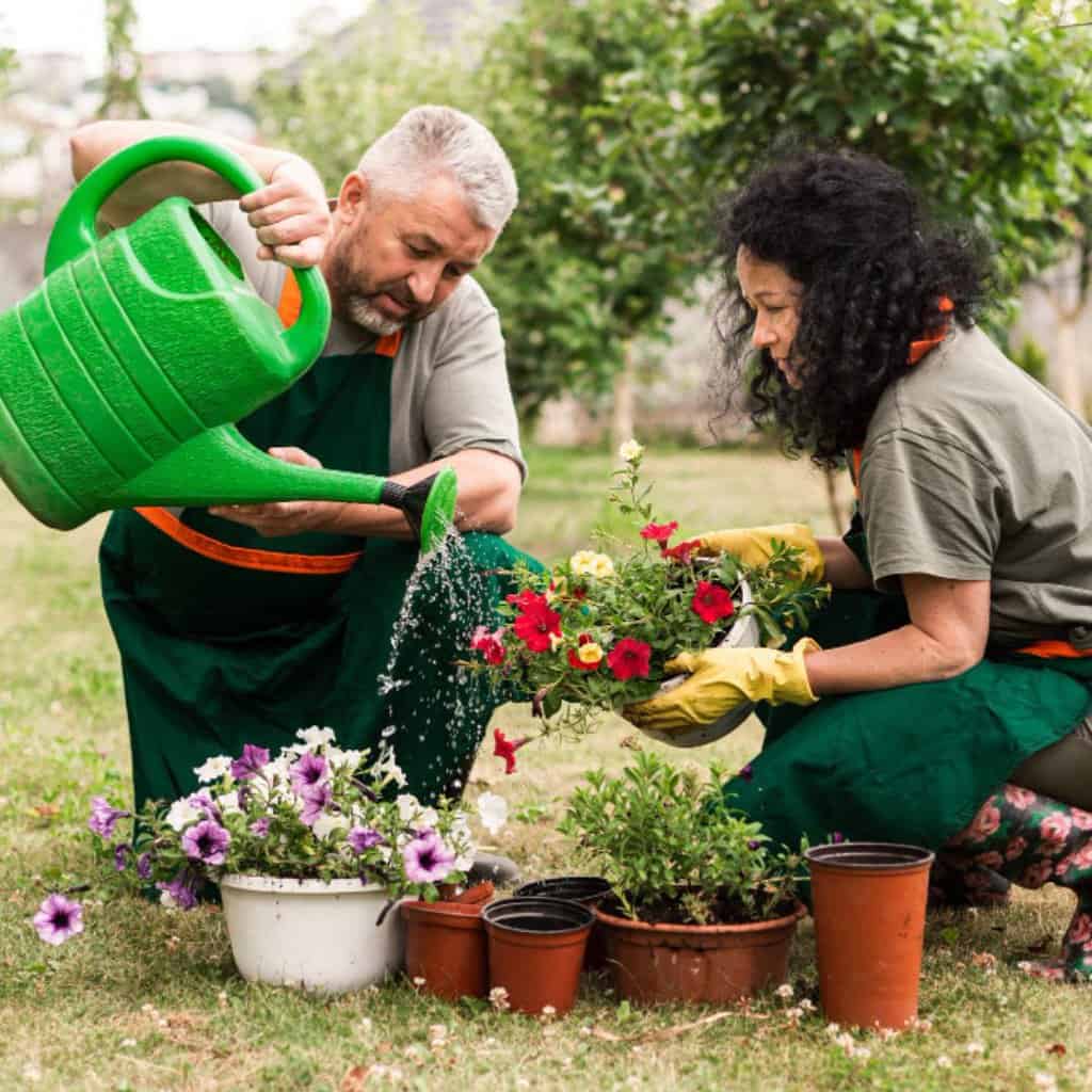 essential gardening tools