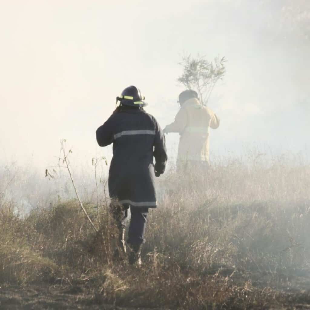 Preventing Bushfires