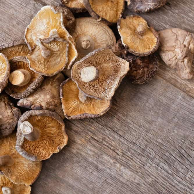 Adding Mushroom Supplements to Your Nutrition