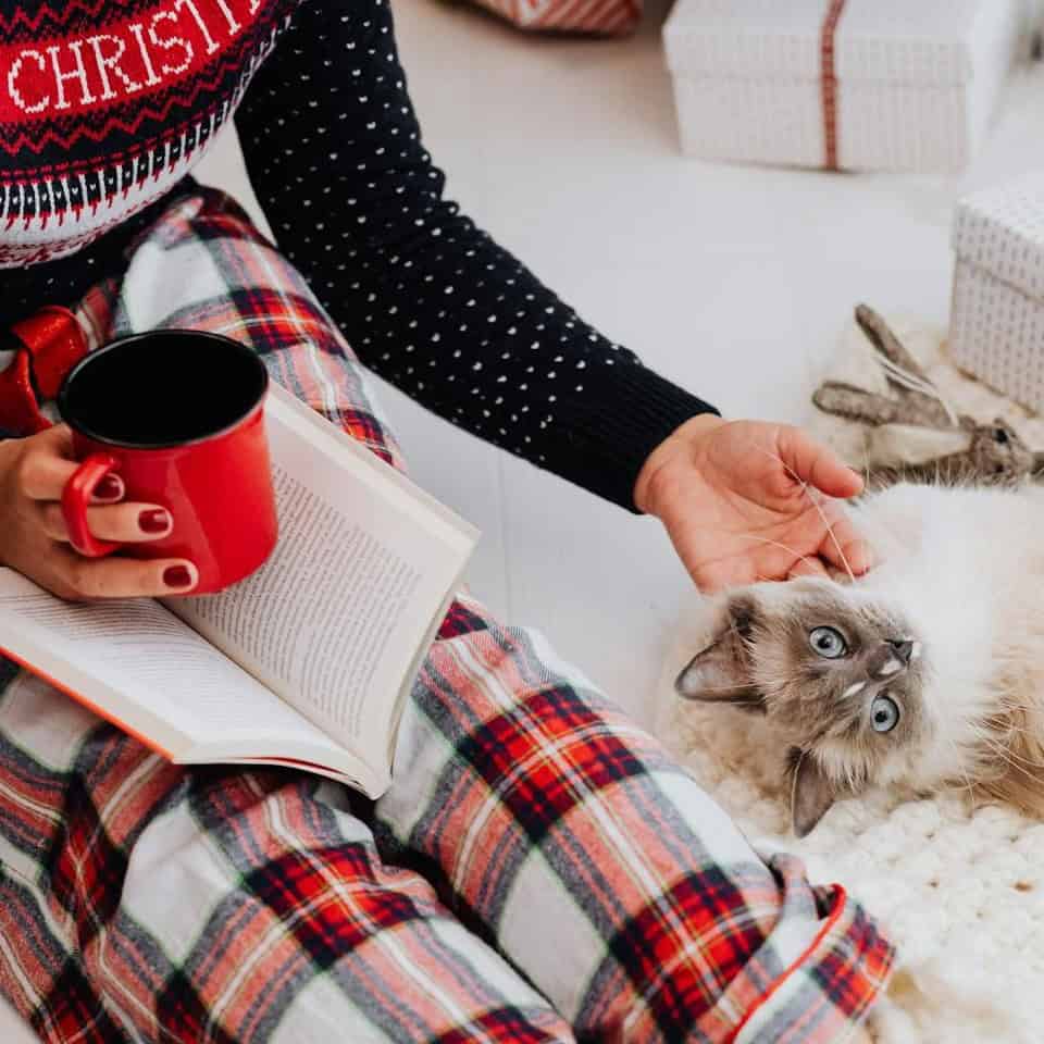 best books for christmas