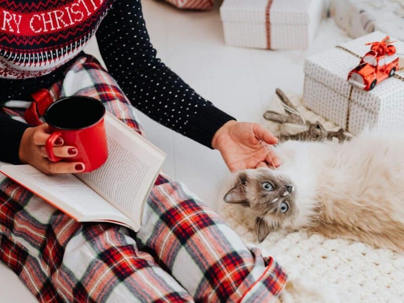 The Best Books for Christmas 2024: Your Ultimate Christmas Gift Guide 1