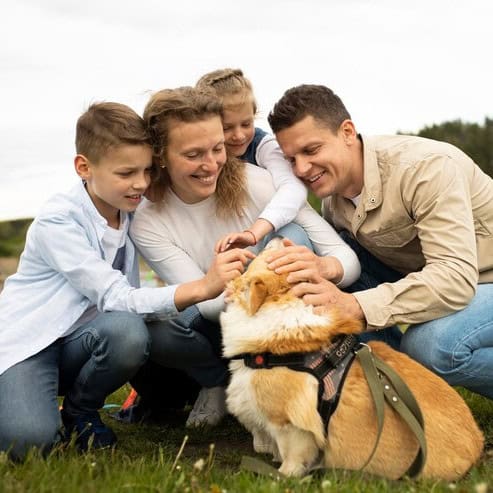 Family Life and Dog Care